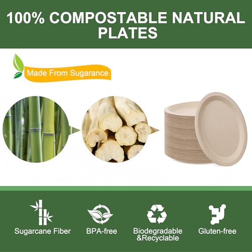 100% Compostable Oval Paper Plates 12 Inch 125 (Natural / 12Inch（125 PCS）)