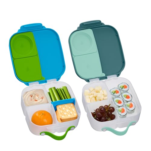 Mini Lunch Box 2