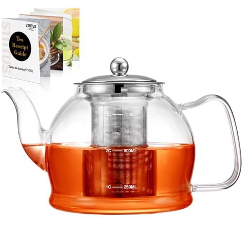 STNTUS Glass Teapot With Infuser (800ml/27oz)