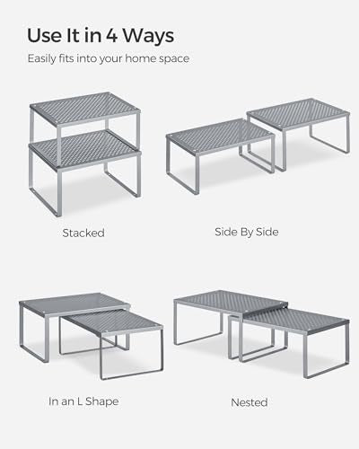 Set of 2 Metal Spice Racks (Silver / 2 Tiers (9"D x 12.6"W))