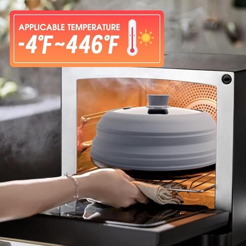 9.8 Inch Silicone & Glass Microwave Splatter Cover (Grey / 9.8Inch)