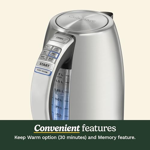 Electric Kettle (Stainless Steel / PerfecTemp)