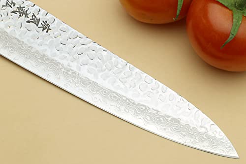 VG10 46 Layers Hammered Damascus Gyuto Japanese Chefs Knife (7")