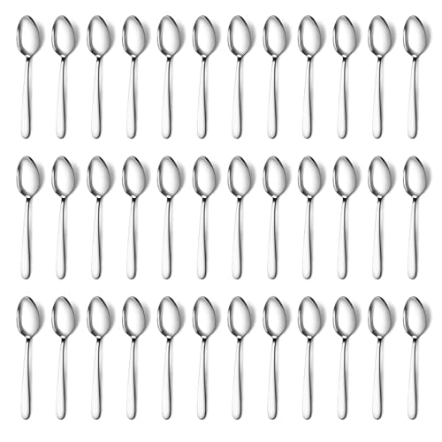 36 Pieces Teaspoons Set (36 Pcs 6.2'' Silver Teaspoons)