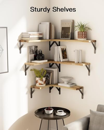 Amada Solid Paulownia Wood Wall Shelves (Wooden / Medium)