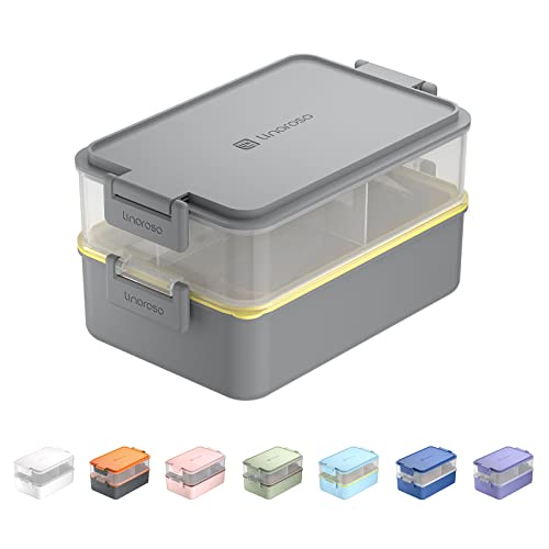 Stackable 2 Tier Adult Bento Box