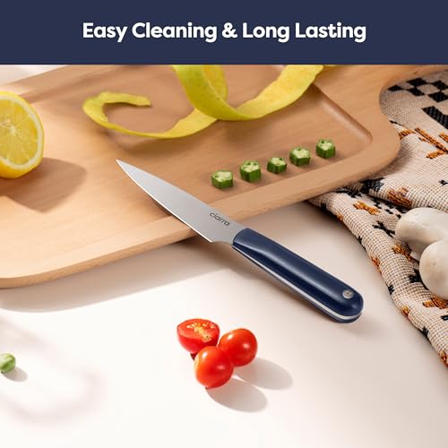 Professional Kitchen Knife Set 5 PCS (Deep Blue)