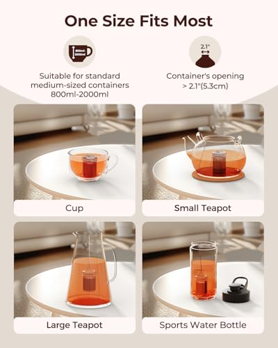 2 Pack Reinmoson Large Tea Infuser for Loose Tea & Spice Ball for Cooking (Large)