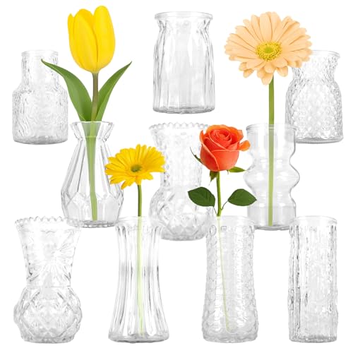 Glass Bud Vase Set of 10 Pcs