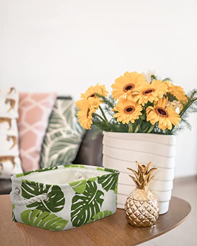 Storage Cubes (Banana Leaf / Small-6 Pack)