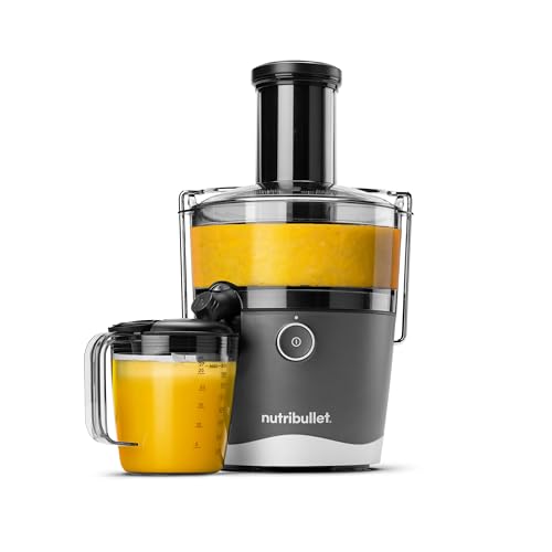 Juicer 800W Juicer