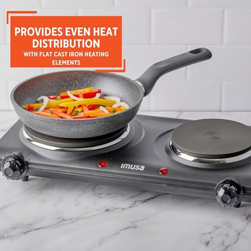 Double Electric Hot Plate (Hot plate / Double)