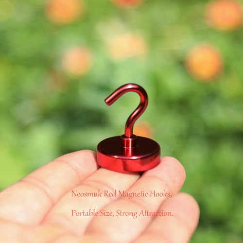 Magnetic Hooks (10 Count)