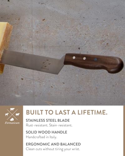 Professional Cheese Knife