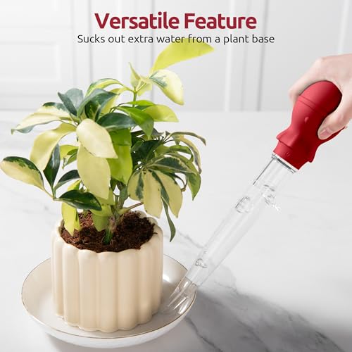Turkey Baster for Cooking