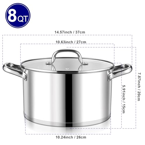 Stainless Steel Stock Pot (8 Quarts)