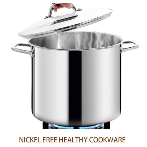 Commercial Grade LARGE STOCK POT 20 Quart With Lid (20 Quarts / Mirror Polished Stainless Steel)