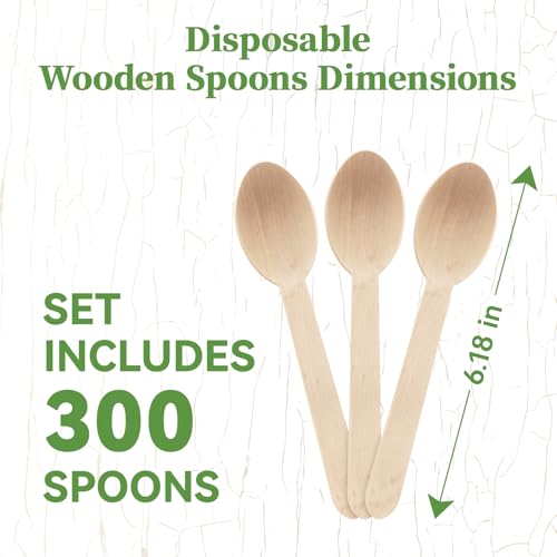 300 Count Compostable Wooden Disposable Spoons for Party (brown-spoons)