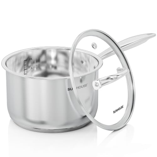 Stainless Steel Saucepan