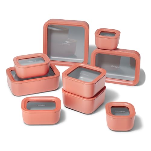 22 Piece Glass Food Storage Set (Perracotta / Food Storage Set (22x))