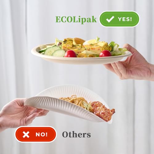 150 Pack 10 inch Compostable Disposable Paper Plates for Party (10in-150natura)