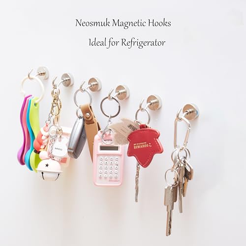 Magnetic Hooks (10 Count)