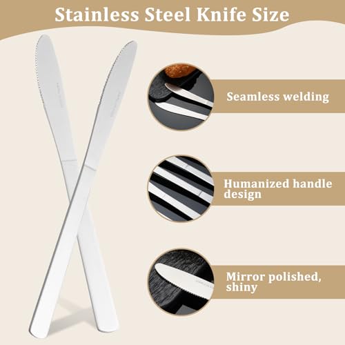 72 PCS Dinner Knifes Set (72PCS Dinner Kinfe)