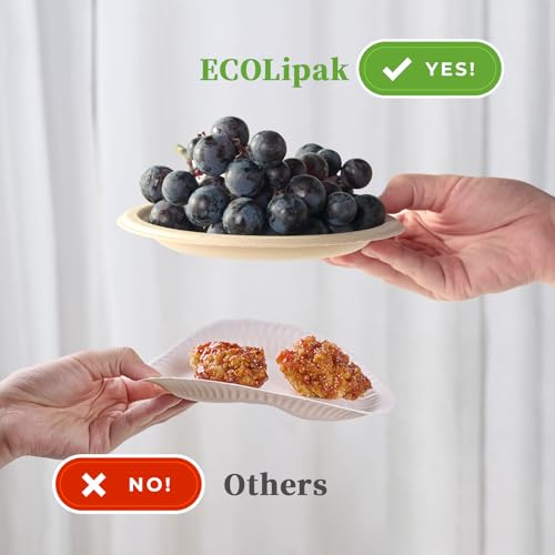 6 in 200 Pack Natural Disposable Compostable Dessert Paper Plates (6in-200natural)