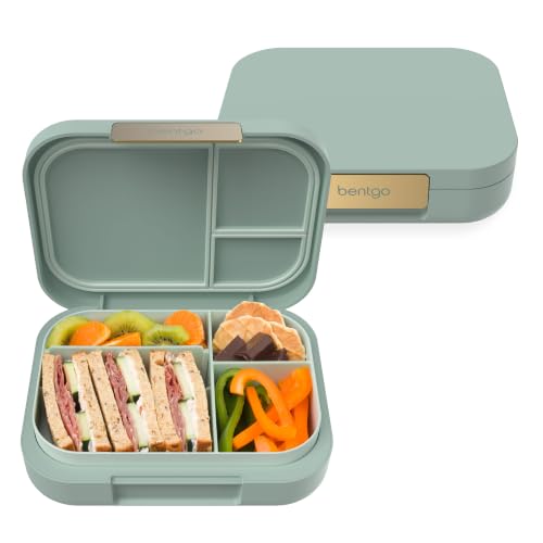 Modern Adult Bento Lunch Box with 3 (Mint Green)