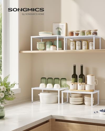 Set of 4 Metal Spice Racks (White / 4 Tiers (9"D x 12.6"W))