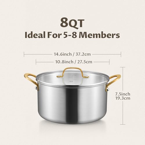 8 QT Stock Pot with Lid