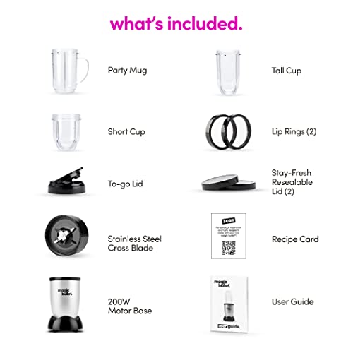 Personal Blender for Shakes (11 piece / Silver)
