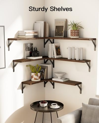 Amada Solid Paulownia Wood Wall Shelves (Brown / Large)