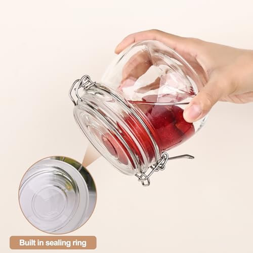 16oz 6 Pack Round Glass Jars with Airtight Lid