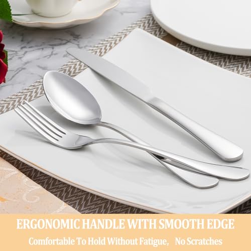 50 Piece Silverware Set Service for 10 (Silver)