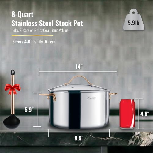 8 Quart Stock Pot (Stock Pot / 8 Quart)