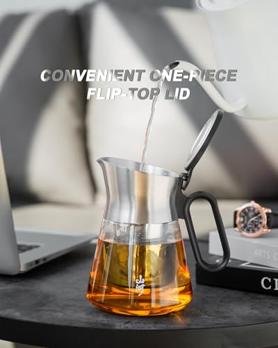 17 oz Small Glass Teapot with Infuser For Loose Leaf Tea Steeper (17 oz (No Cups))
