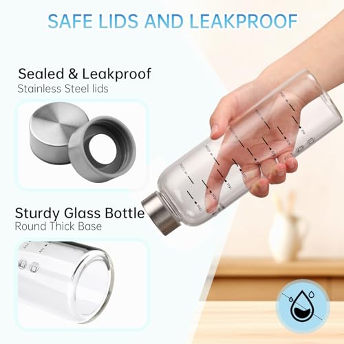 Glass Juice Bottles 6 Pack 20 oz (20 Ounces / 6 Pack Silver Lid)