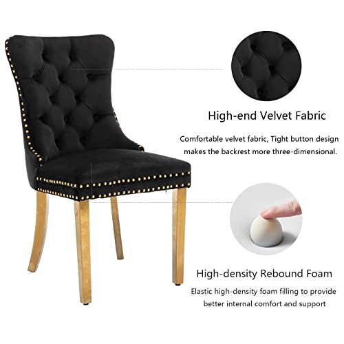 Black and Gold Velvet Dining Chairs Set of 2 (Standard Black)