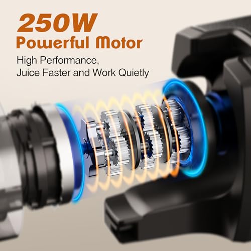 Cold Press Juicer (Silver)
