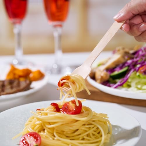 300 Count Compostable Wooden Disposable Forks for Party (brown-forks)