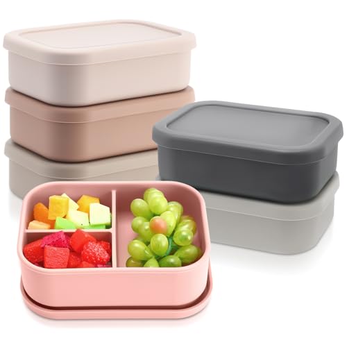 6 Pcs Silicone Bento Box (6 Count)