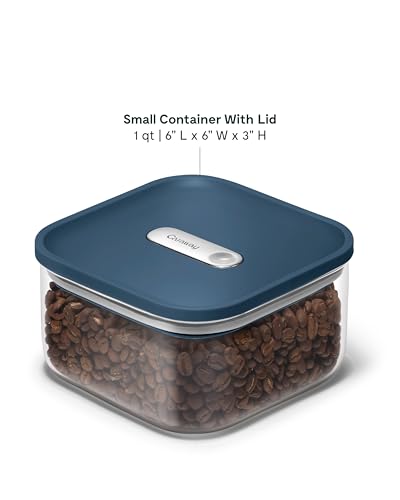1 qt Glass Airtight Food Storage Container with Lid (Navy / 1qt Container)