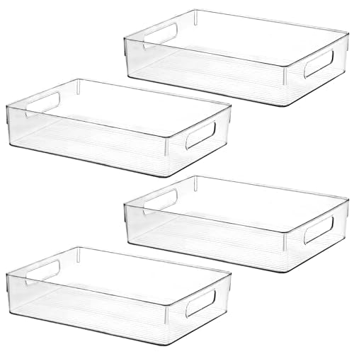 Large Clear Plastic Storage Bins (12.8 X 9.7 X 3.5)