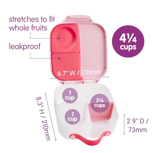 Mini Lunch Box (Flamingo Fizz / 1-pack)