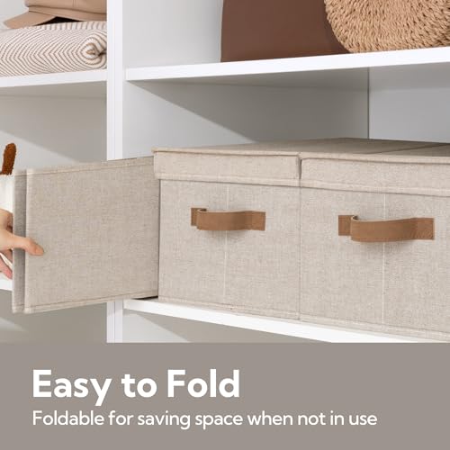 Fabric Storage Bins with Lids (Brown and Beige / Large)