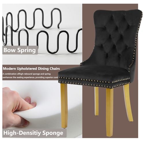 Black Velvet Dining Chairs Set of 2 (Classic Black)