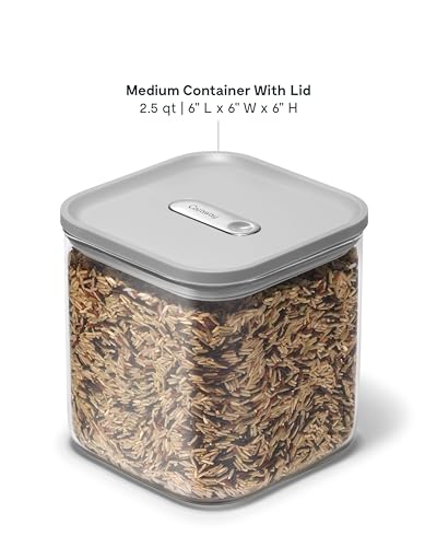 2.5 qt Glass Airtight Food Storage Container with Lid (Gray / 2.5qt Container)