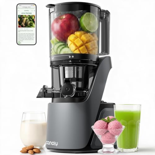 3-in-1 Cold Press Juicer C16, Makes Juice & Sorbet & Nut Milk (Space Gray)