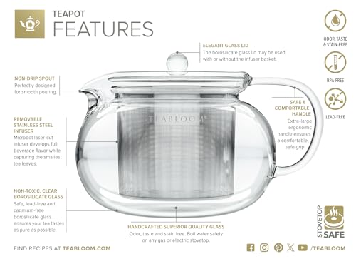 Kyoto 2-in-1 Tea Kettle/Tea Maker – Heatproof Glass Teapot with Removable Loose Tea Filter – Tea Connoisseur's Choice (36 FL OZ (3-4 CUPS))